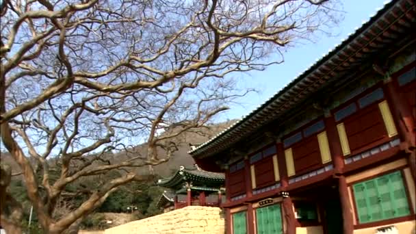 Kleurrijke Traditionele Huis Gangjin Gun Jeollanam Provincie — Stockvideo