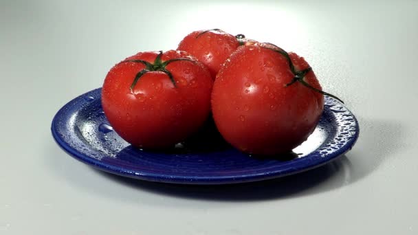 Tomates con gotas de agua en plato azul — Vídeos de Stock