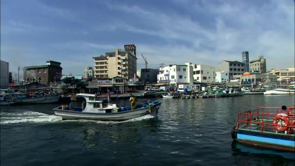 Pråmar Fiskebåtar Förtöjning Område Sokcho Gangwon Sydkorea — Stockvideo