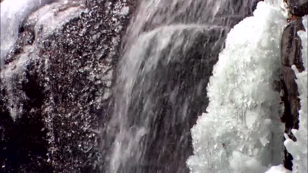 Beautiful cold flows of waterfall — Stock Video
