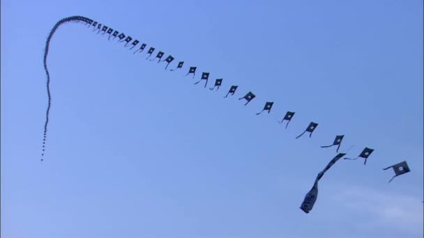 Great Long Kite Blue Sky Sunny Day — Stock Video