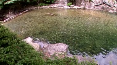 Göle düşen bahar büyük şelale peyzaj