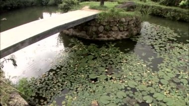 lotus gölet üzerinde köprü bırakır