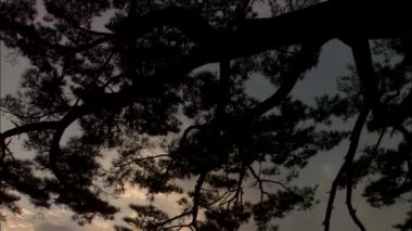 kumlu plajı ile deniz manzarası 