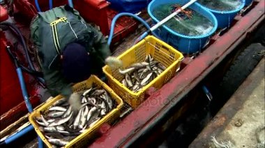 Balık plastik kutu içinde değişen adam 