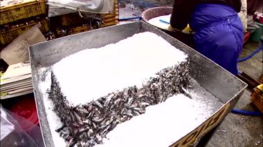 Balıkçı tuz taze balık deniz ürünleri pazarında