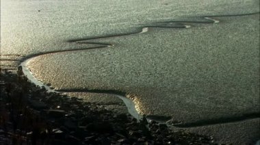 Taean-silah çamur wasteland