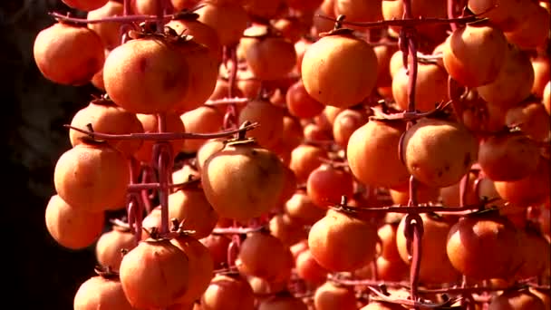 Collection Persimmons Mûrs Suspendus Sur Fond Sombre — Video