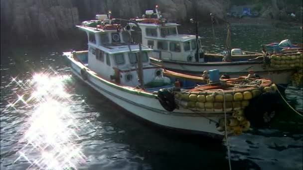 Barcos de pesca en reposo — Vídeo de stock