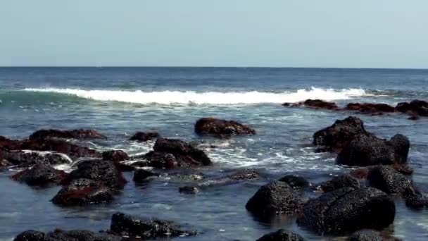 Jeju Adası okyanusta taşlar — Stok video