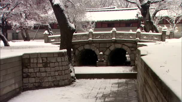 Palacio Coreano Tradicional Changdeokgung Seúl Invierno — Vídeo de stock