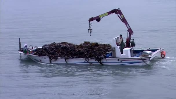 Pescador en barco en el mar — Vídeo de stock