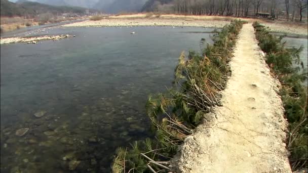 Paisaje con puente sobre río — Vídeos de Stock