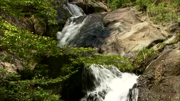 Chute d'eau rapide sur une énorme roche — Video