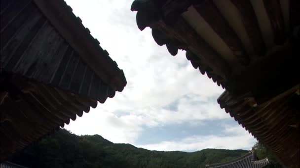 Ansicht Des Steindenkmals Innenhof Des Traditionellen Koreanischen Tempels Mit Wandernden — Stockvideo