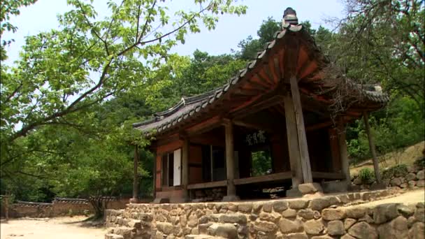 韓国の伝統家屋と豊かな緑の植物の周りのビュー — ストック動画