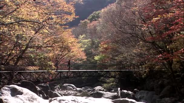 Άποψη Της Γέφυρας Τους Τουρίστες Gurye Τζεολανάμ Επαρχία Κορέα — Αρχείο Βίντεο
