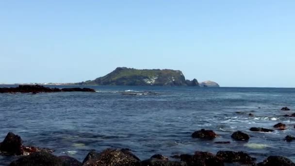 Jeju Adası'nın tek sıra halinde ortak — Stok video