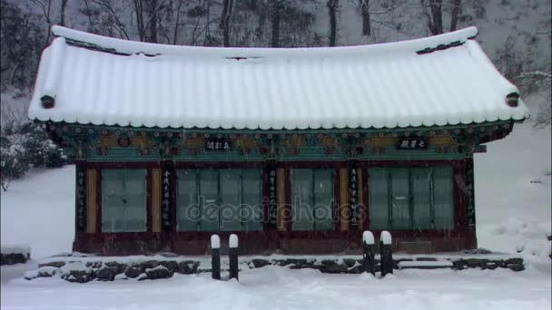 Hall principal du Temple à Jangseong-gun — Video