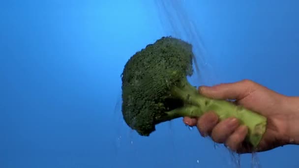 Donna che lava broccoli maturi — Video Stock