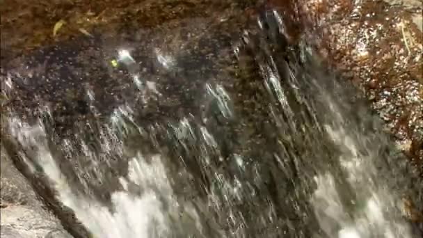 Mooie koude stromen van waterval — Stockvideo
