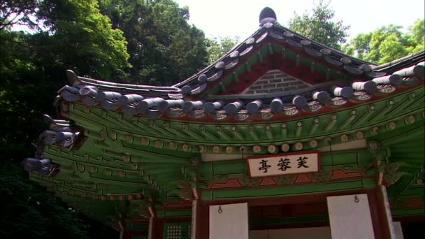 Detalles Palacio Coreano Tradicional Changdeokgung Seúl — Vídeos de Stock