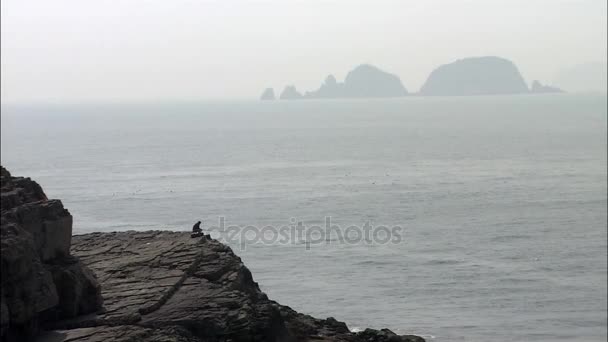 Man zit op een klif in de buurt van de zee — Stockvideo