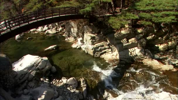 Puente sobre el río de montaña de Hapcheon pistola — Vídeo de stock