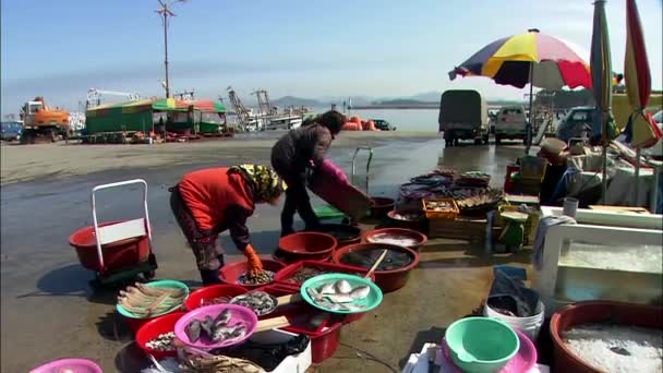 韩国海鲜市场在 Seocheon — 图库视频影像
