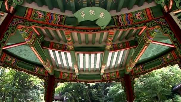 Detalles Palacio Coreano Tradicional Changdeokgung Seúl — Vídeos de Stock