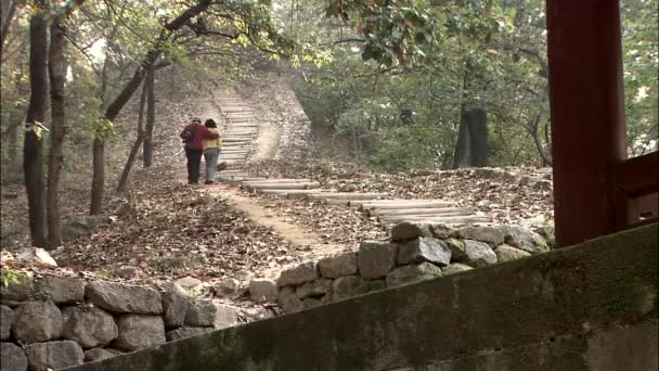 Caminhada Casal Madeira Outono Gongju Chungcheongnam Coreia — Vídeo de Stock