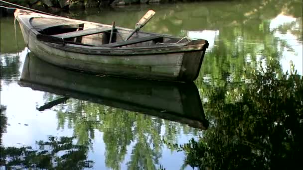 Gula segla båt på floden — Stockvideo