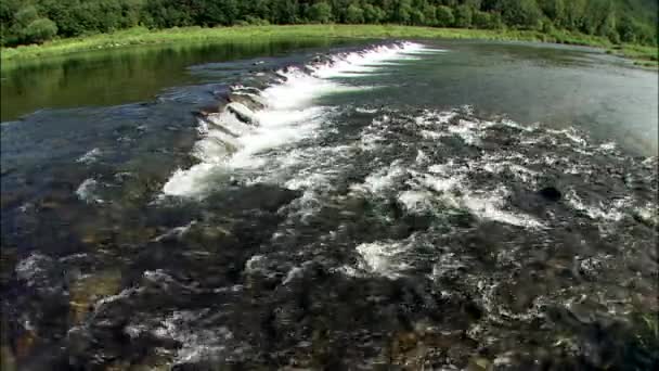 Lesní řeky s malým vodopádem — Stock video