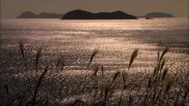 Vacker Utsikt Över Marina Sunset Jindo Gun Sydjeolla Korea — Stockvideo