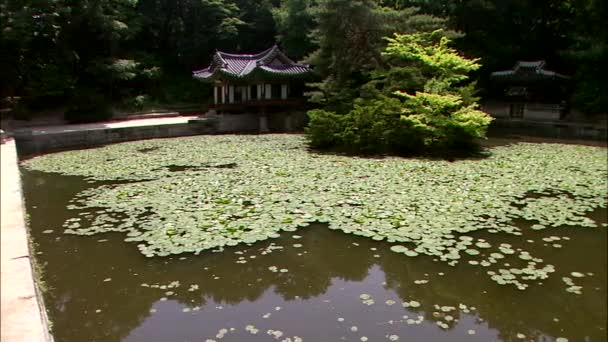 Traditional ancient buildings in pond — Stock Video