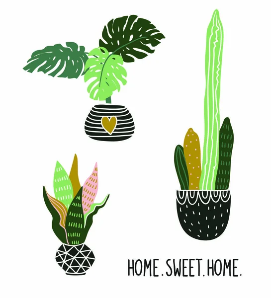 Handgezeichnete tropische Zimmerpflanzen — Stockvektor