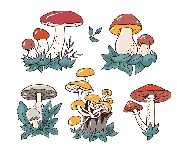 Cogumelos de desenho animado e toadstools — Vetor de Stock
