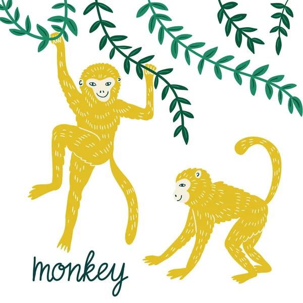 Macacos em poses diferentes — Vetor de Stock