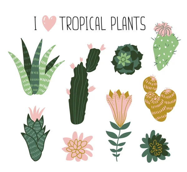 Trópusi növények gyűjteménye — Stock Vector