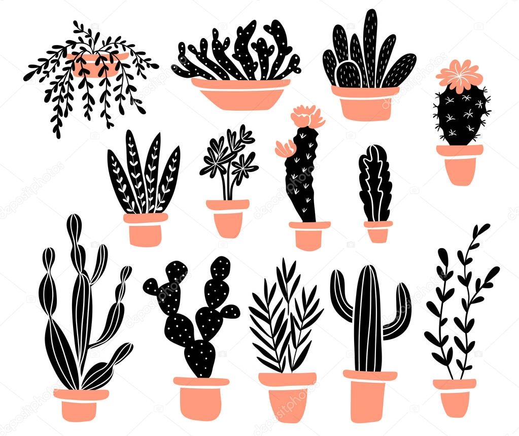 Cactuses in pots set