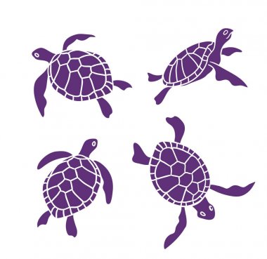 Beyaz arka plan üzerinde mor Deniz kaplumbağaları