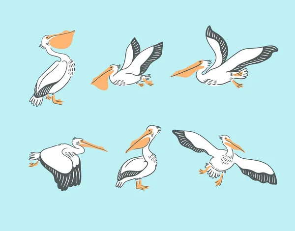 Pelikan Ile Çekilmiş Seamless Modeli — Stok Vektör