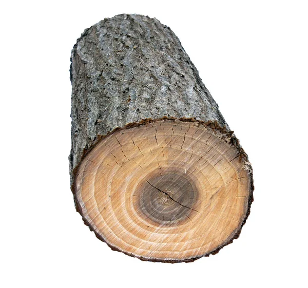 Log de madeira como lenha — Fotografia de Stock