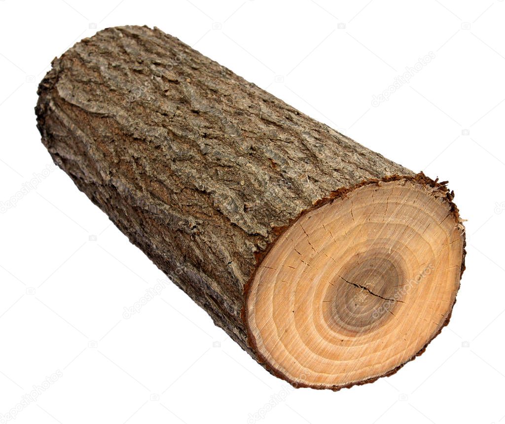 Wooden log as firewood — Stock Photo © V_Nikitenko #128965554