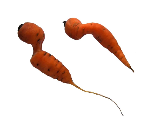 Морковь Инь и Янь — стоковое фото
