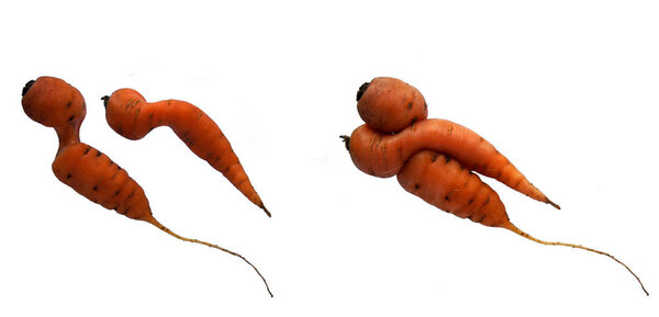 Морковь Инь и Янь
