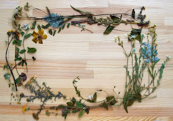 Cadre floral sur panneau en bois — Photo