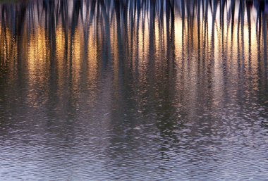 Gün batımında suda yansıma