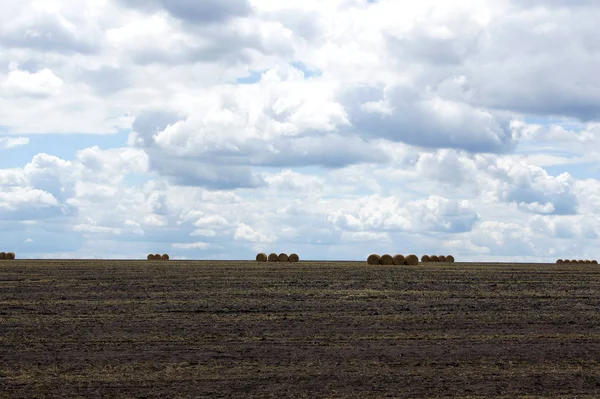 Campo después de la cosecha — Foto de Stock