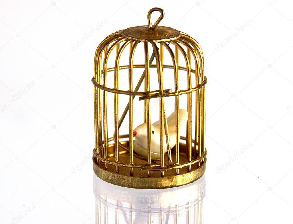 Vintage golden birdcage